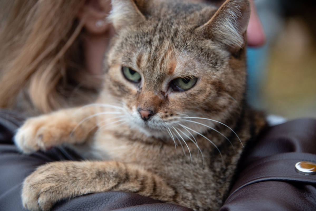 IMG-b72f6dbf781a19bfb5df928cb9a5f8e0-V