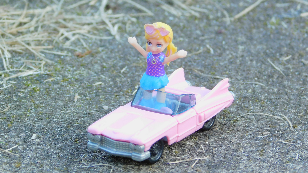 сентябрь дачно-миниатюр 2025 119