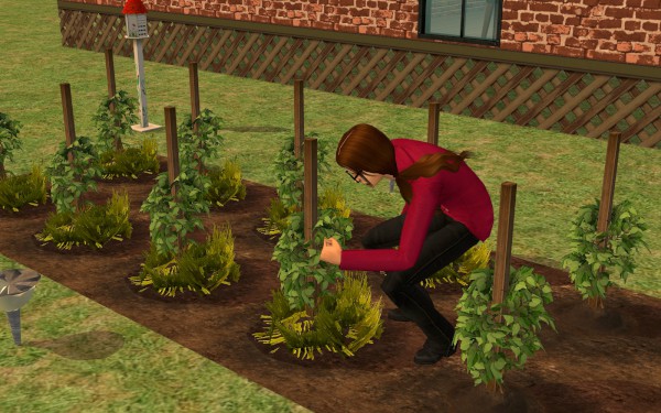 Halloween-asylum-360-600x375