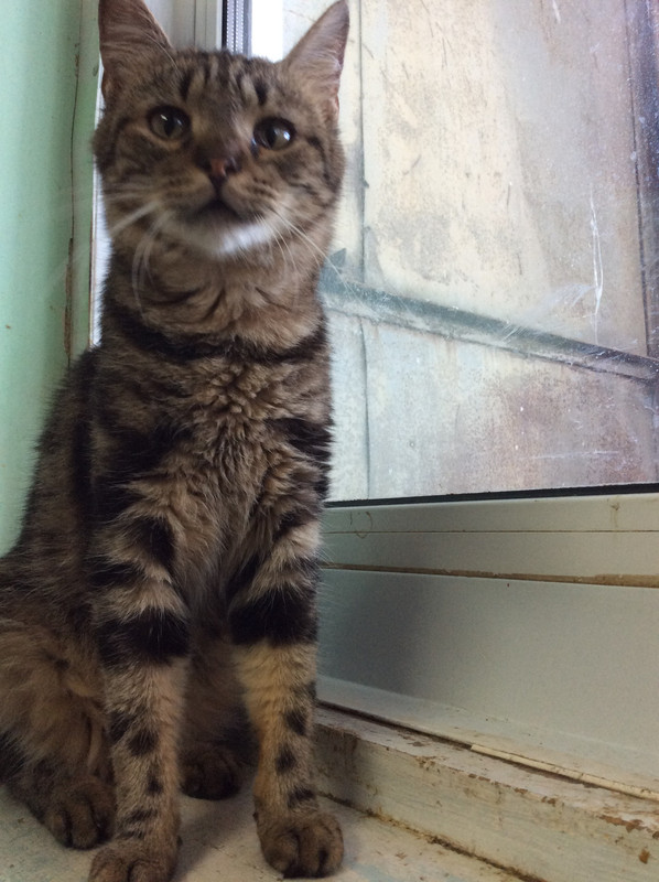 D6E05F00-15EB-4FCB-A8EE-472219FC3FCE