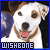 wishbone