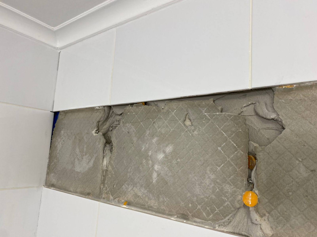 8EE77834-FED0-4AA5-AD3D-65106BEBDF3C