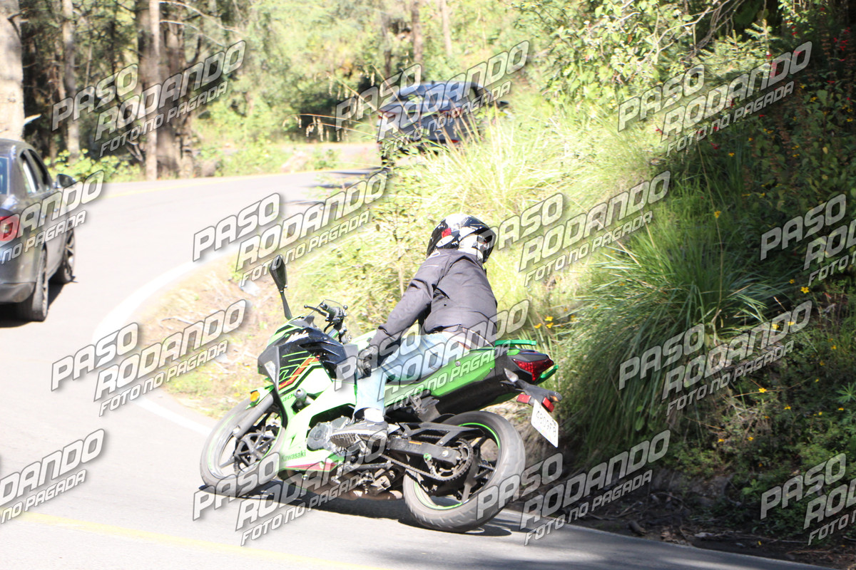 IMG 2486 wm 2075222 7000000002 watermarked — Postimages