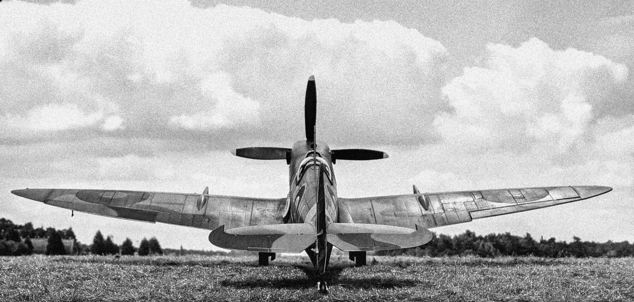 PXL-20240322-142921195-2b_w.jpg
