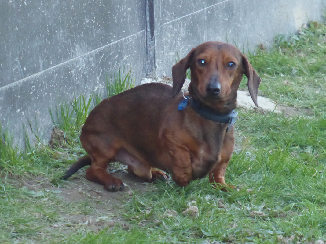 [Image: P1010974.jpg]