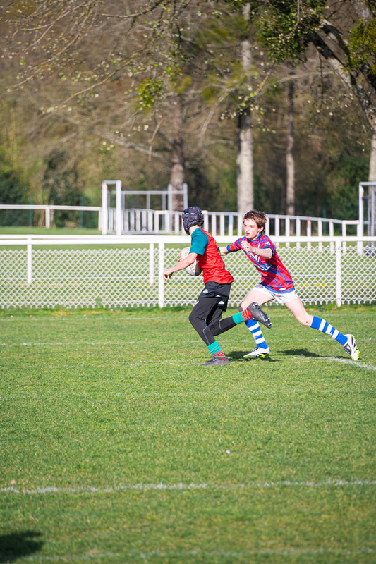 tournoi-de-latlantique-2026-adonis-griffon-232-55181254896-l