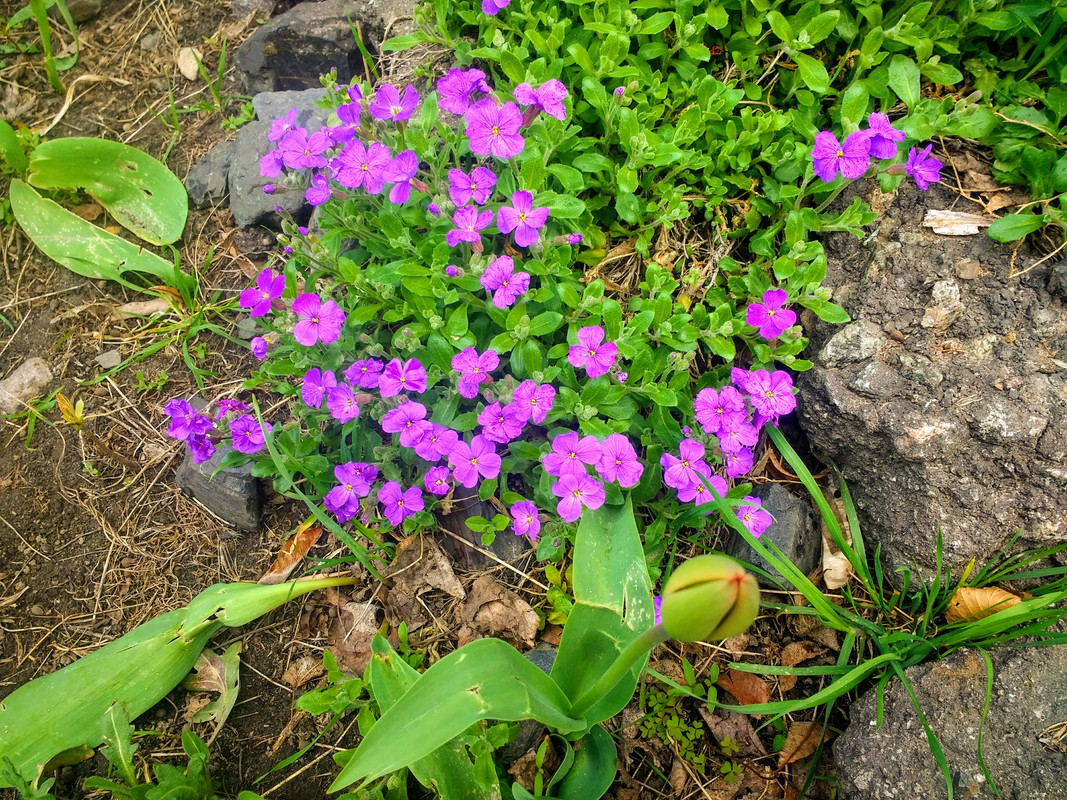 IMG-20190419-134100187-EFFECTS.jpg