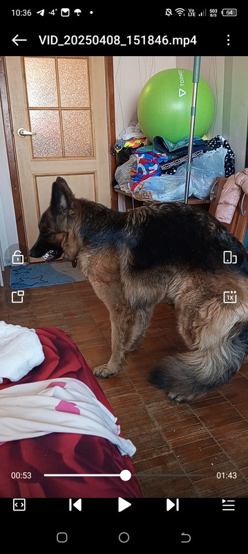 Screenshot_20250411-103626