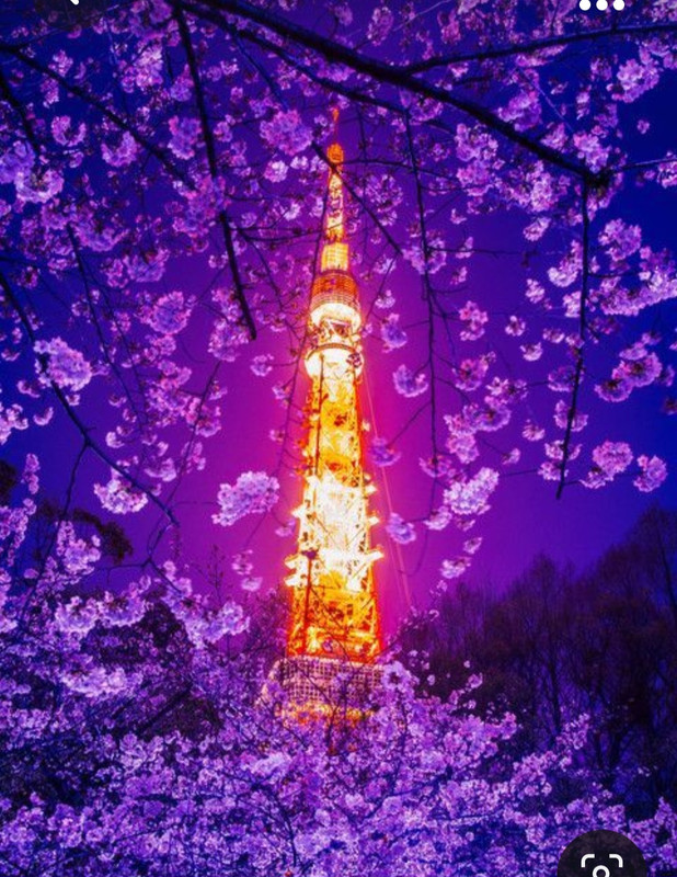 Screenshot_20231011_135449_Pinterest