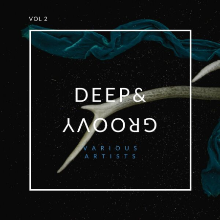 VA - Deep and Groovy Vol 2 (2022)