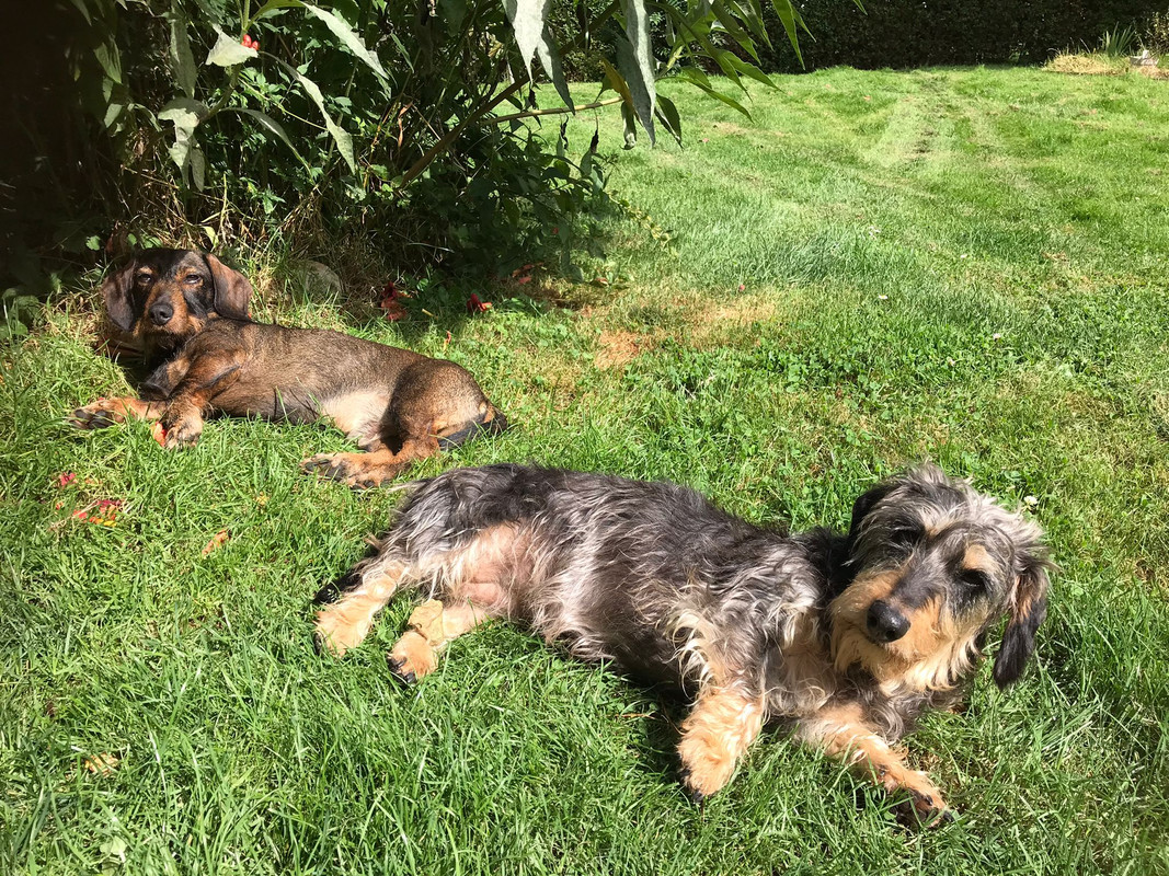 [Image: IMG-20240818-WA0008.jpg]