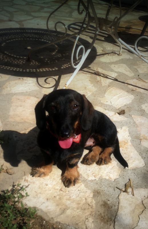 [Image: IMG-2561.jpg]