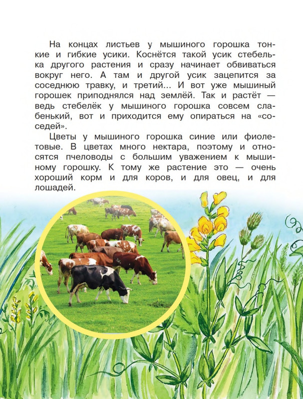 Onegov-Anatolij-Pochemu-kukushka-slozki-lot-page-0041
