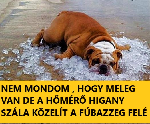 meleg.jpg