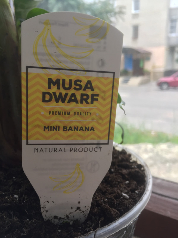 9B69BCE1-C3D2-4161-A560-4687A3C32BDC