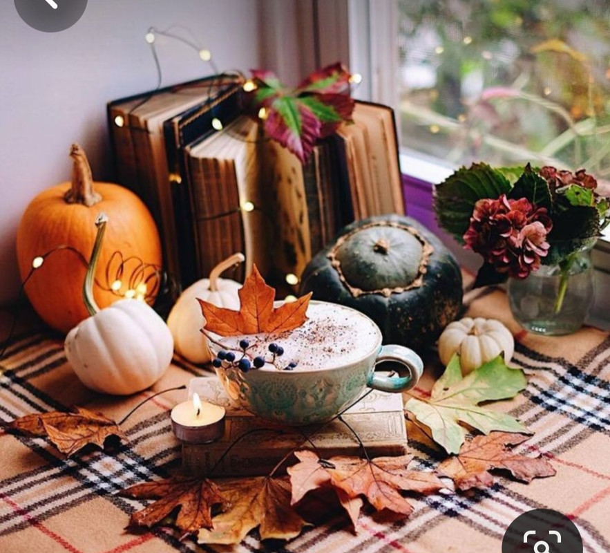 Screenshot_20230909_011439_Pinterest