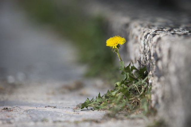 [Image: IMG-9369.jpg]