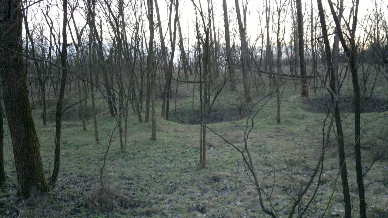 2016-01-A Kálvária erdőben lévő bombatölcsérek,vagy inkább robba