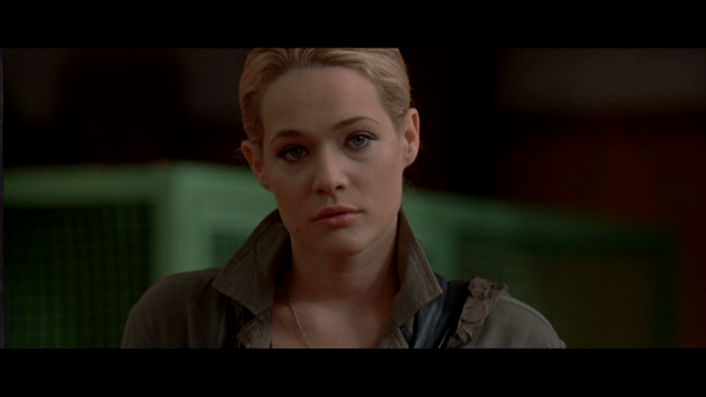 vlcsnap-2020-01-30-17h02m07s151