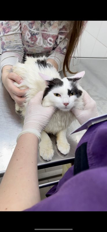 0665E55B-9F22-488F-BC67-7369005BE2E1