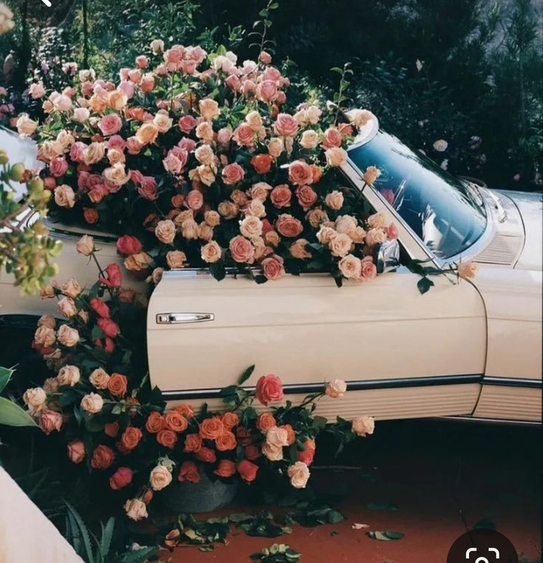 Screenshot_20230913_203238_Pinterest