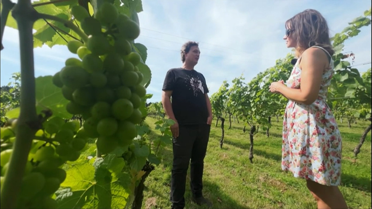 08 16 18 30 01 South East Today Weather South East Today Weath Ts 08-16-18-30-01-south-east-today-weather-south-east-today-weath-ts