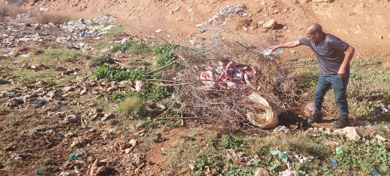 591109143-749293051546606-8895097113611273259-n