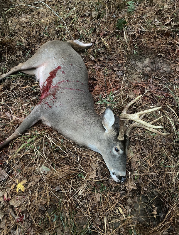 2A56DCD2-8216-4A6C-8567-E0594E1E2624