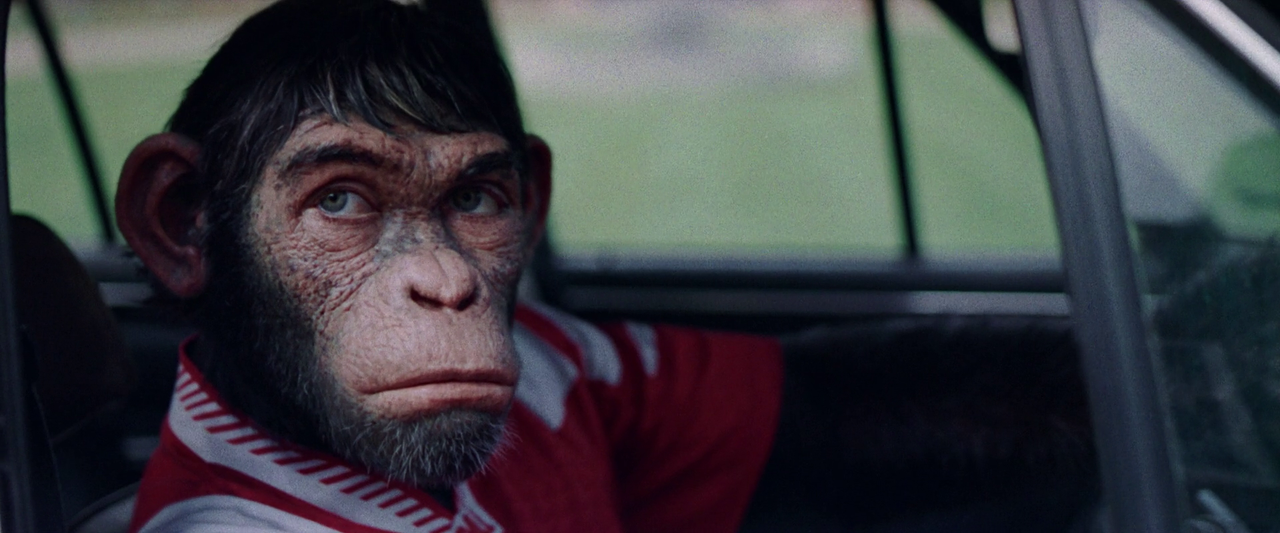 vlcsnap-2025-04-26-09h51m55s280