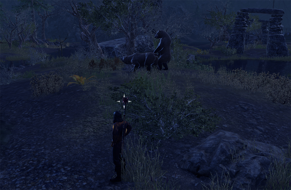 bear-luvs-greymoor.jpg