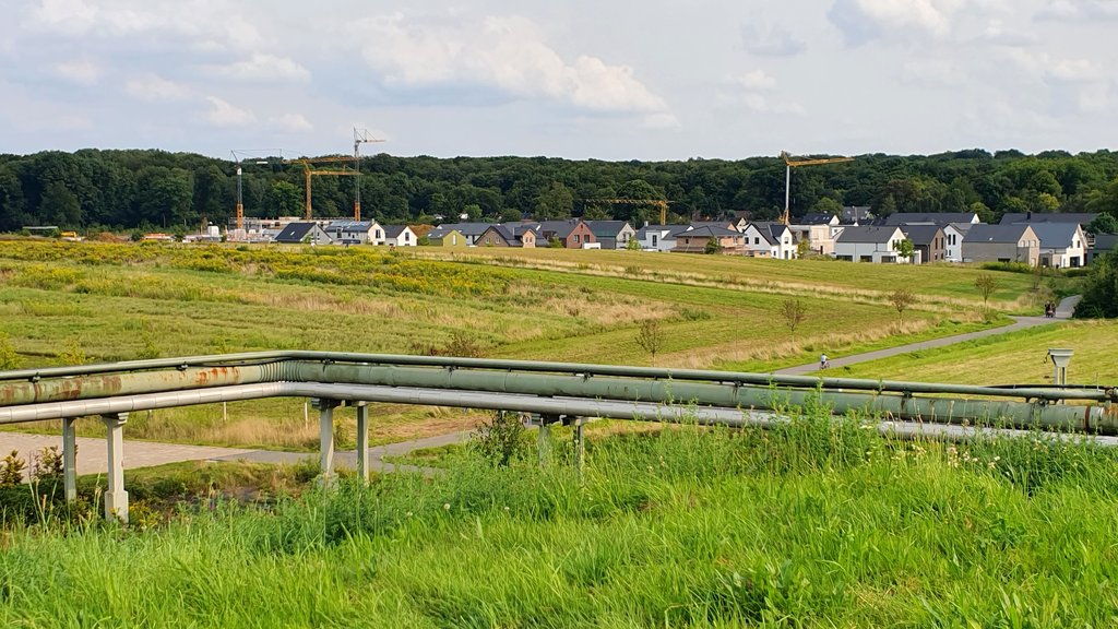 20240818-170112.jpg