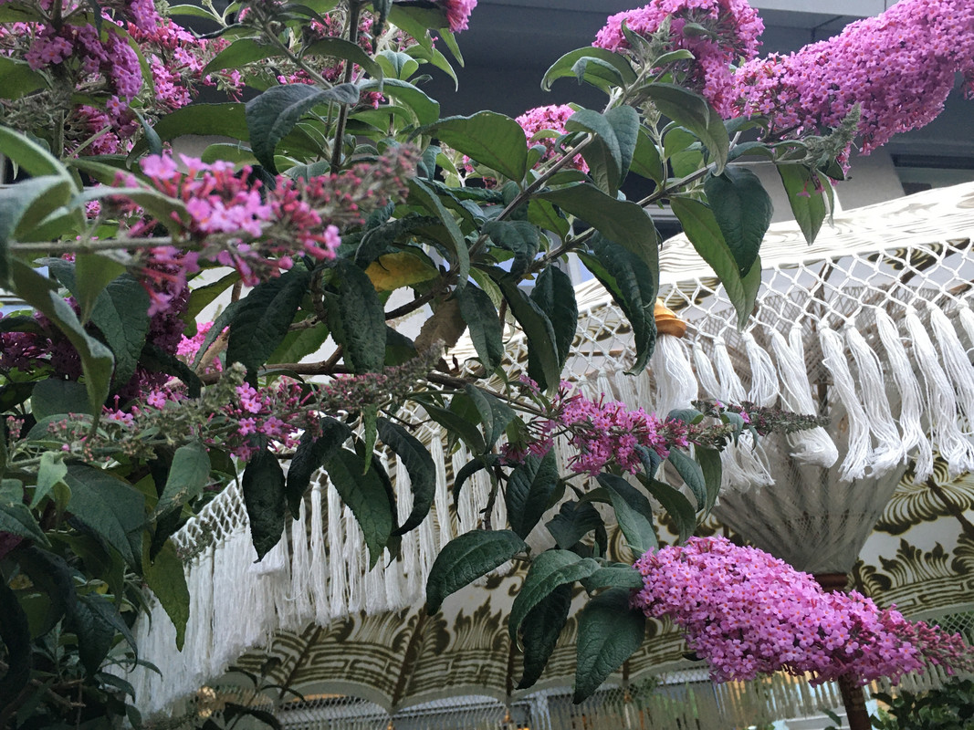 4594DAA1-693C-45BB-9189-BC1694F6AD48