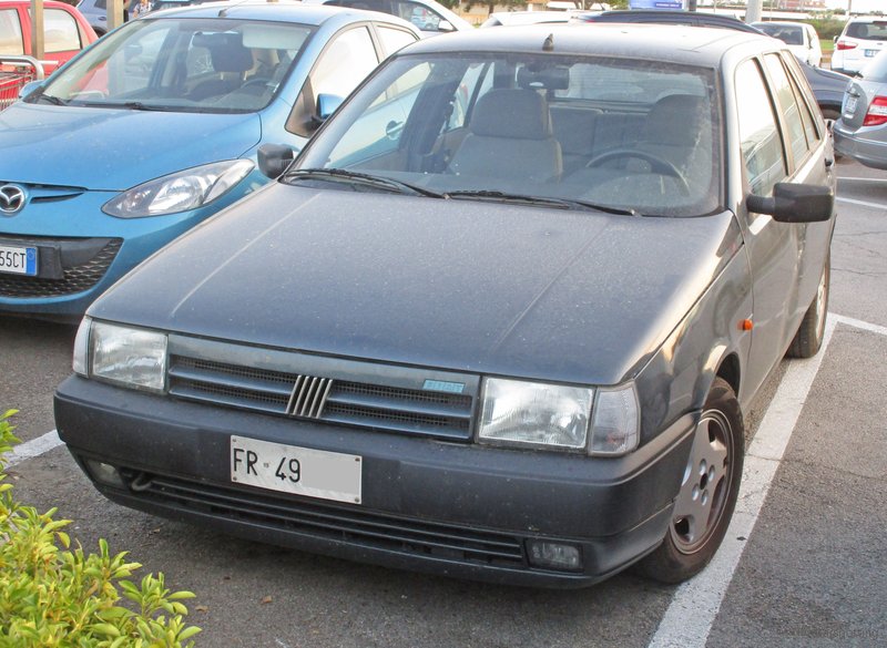 IMG-7354.jpg
