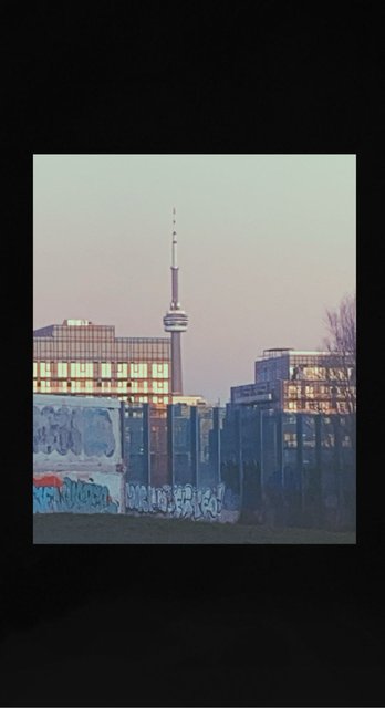 IMG-1730
