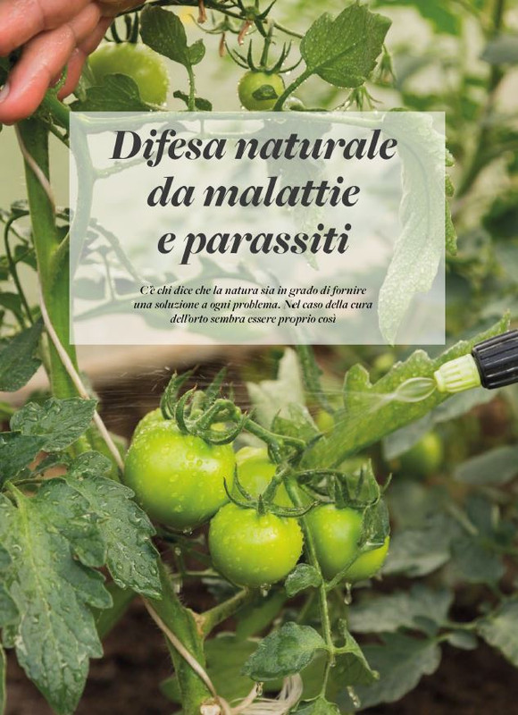 Pass Giar e Orto Apr-Mag 2025 (3)