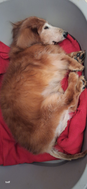 [Image: 20250213-134819.jpg]