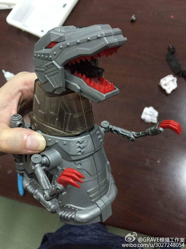 11870717_109052836111819_3600100658457422204_n