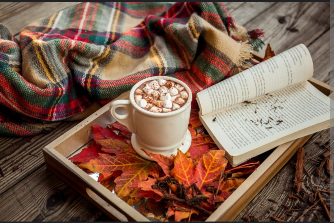 Screenshot_20221121-115005_Chrome