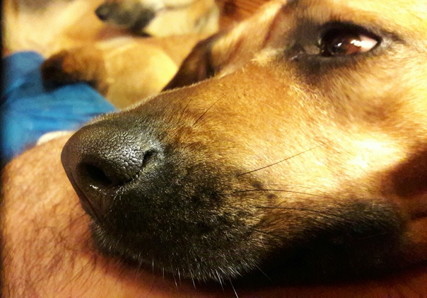 27611C0F-D244-4FE9-9810-34DBD3E85E56