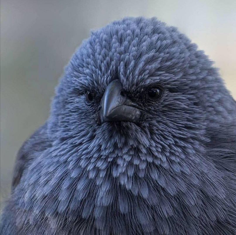 D8-E5-A440-32-A3-438-B-A456-11733-A2-A2-