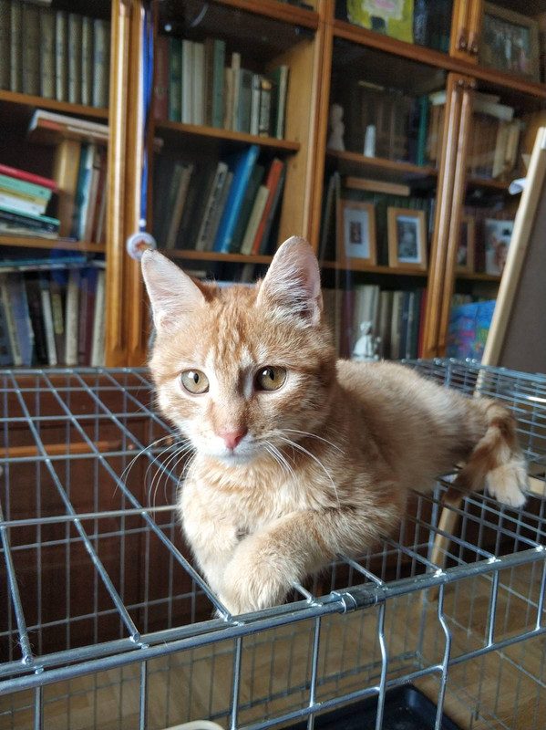 05AF48EF-909A-4750-80AA-76ABD5C783B5