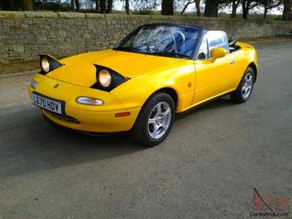 Helga and favorite cars Mx