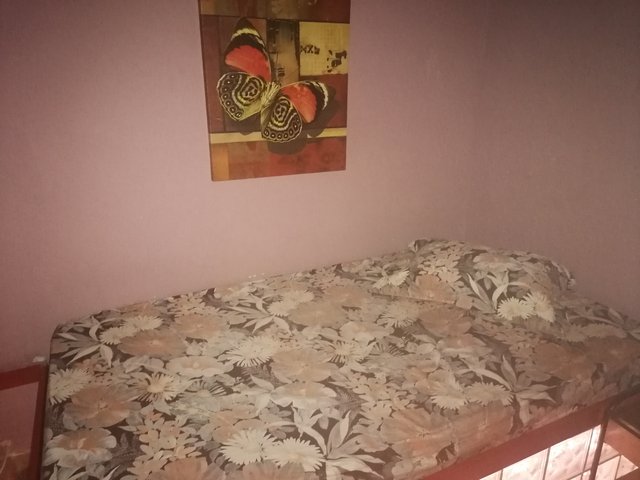 IMG-20220616-194237.jpg