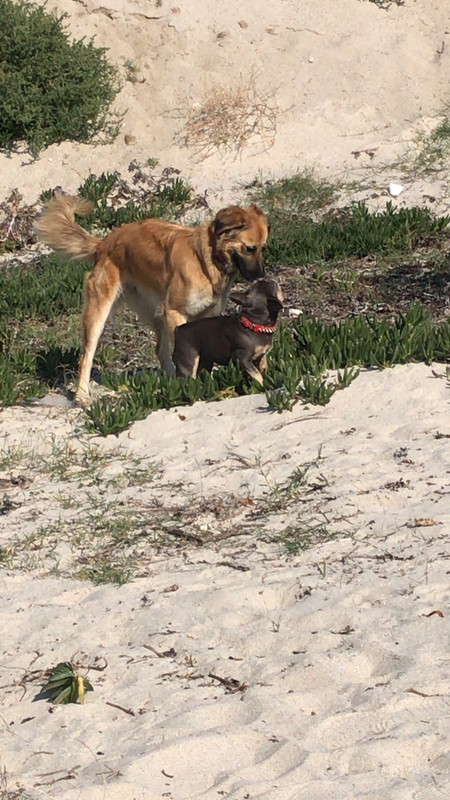 F8B309BF-D02E-4C43-B45D-57D285D05975