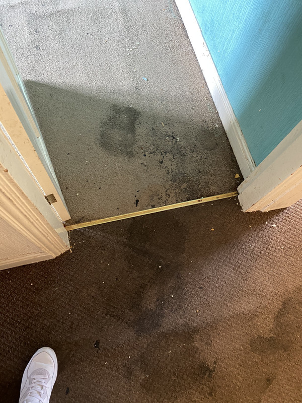 8B3855D3-BF0E-4A4B-81EE-4784BE72A173