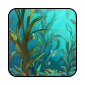 kelp-beds-III1.png