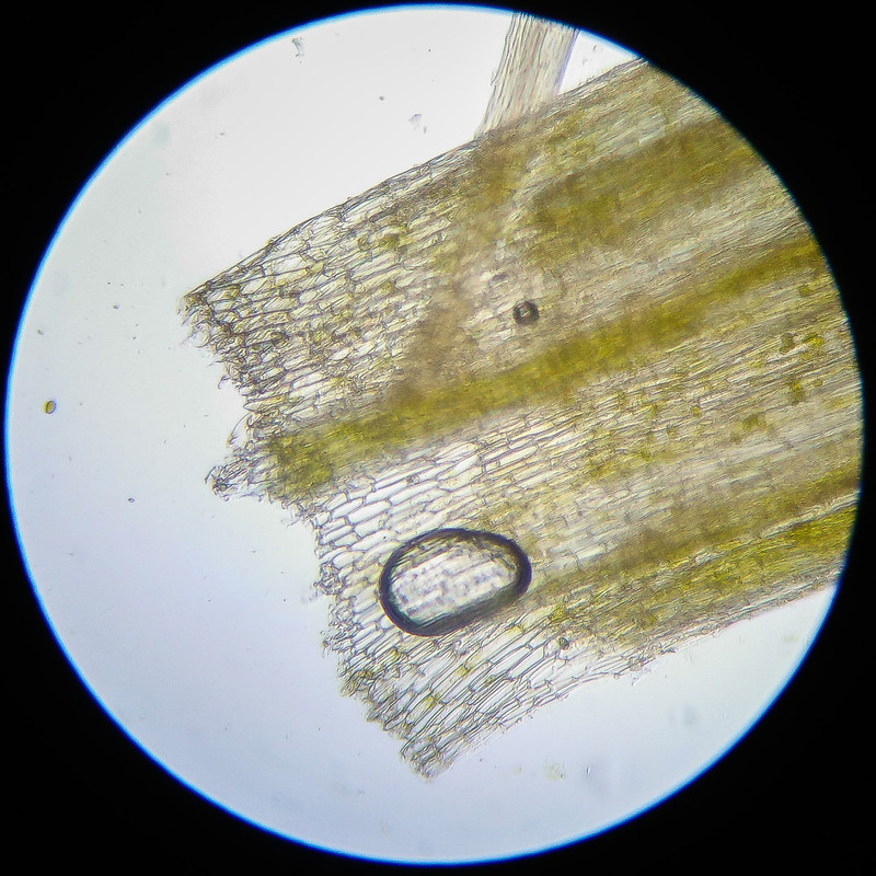 IMG 20250614 124112 HDR