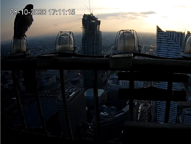 bandicam 2020-10-08 17-11-52-919