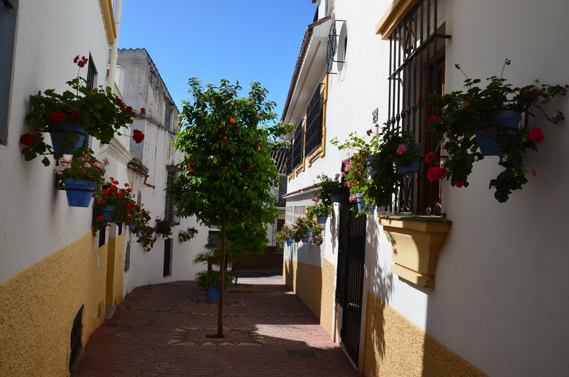 ESTEPONA-9-3-2017 - Málaga y sus pueblos-2009/2017 (197)