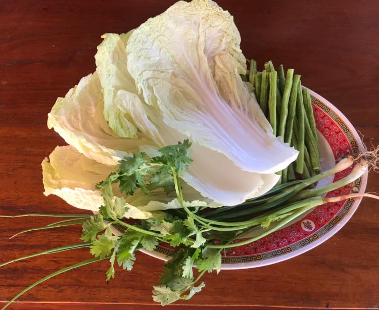 [Bild: Futtern-BDLH5.jpg]